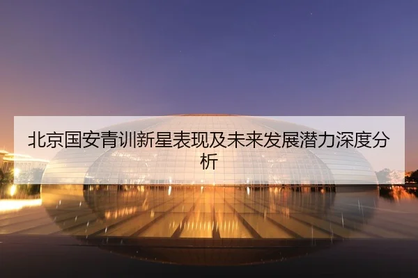 bei-jing-guo-an-qing-xun-xin-xing-biao-xian-ji-wei-lai-fa-zhan-qian-li-shen-du-fen-xi-2-394.jpg